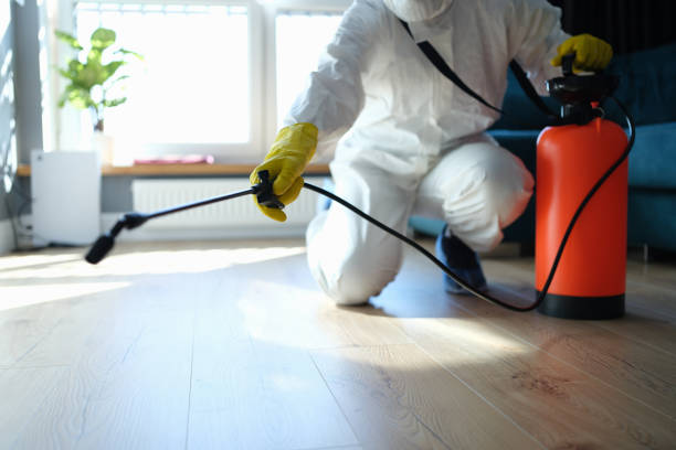 Best Affordable Pest Control Services  in Llano Grande, TX