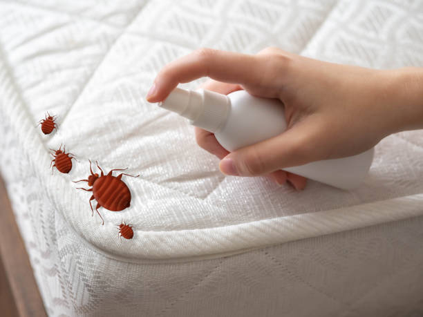 Best Best Pest Control Companies  in Llano Grande, TX