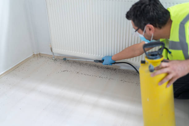 Best Best Pest Control Companies  in Llano Grande, TX